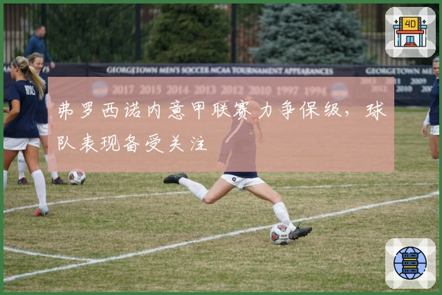 弗罗西诺内意甲联赛力争保级，球队表现备受关注