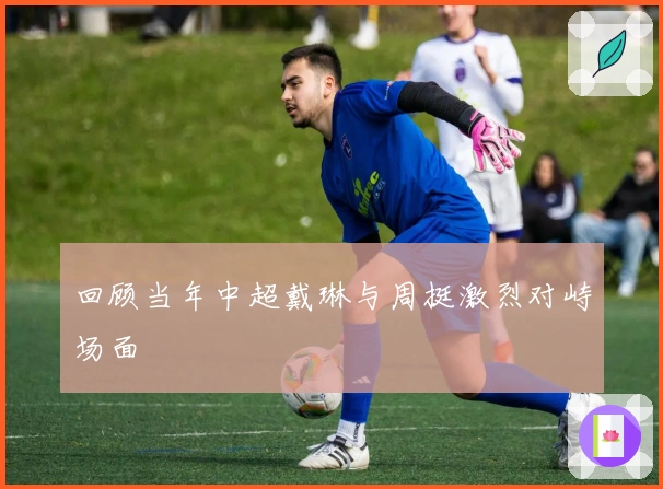 回顾当年中超戴琳与周挺激烈对峙场面