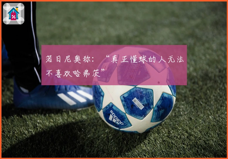 若日尼奥称：“真正懂球的人无法不喜欢哈弗茨”